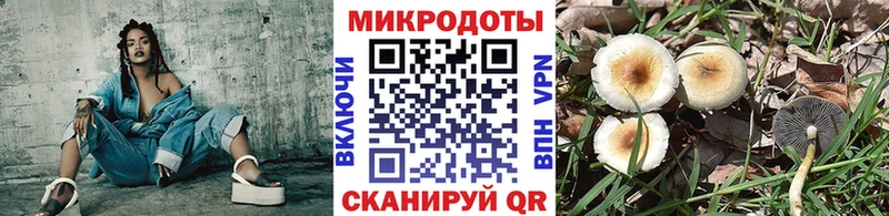 Псилоцибиновые грибы MAGIC MUSHROOMS  Баксан 