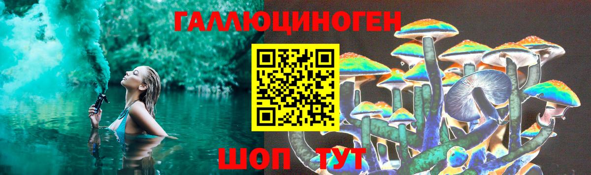 Псилоцибиновые грибы Psilocybine cubensis  Баксан 